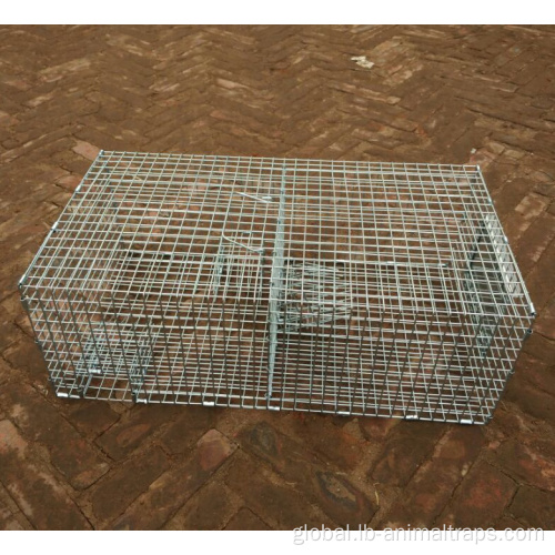 Live Bird Trap Repeating Sparrow Control Trap Wire Cage Manufactory